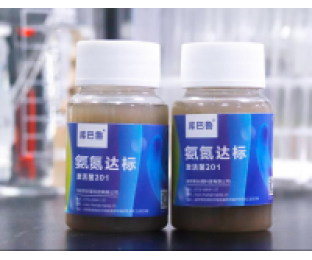 生化系統(tǒng)崩潰，氨氮超標(biāo)，我該怎么辦?