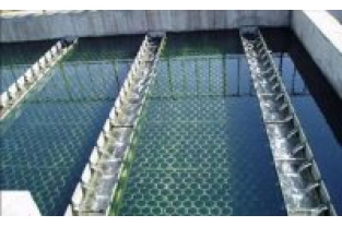 【干貨】生物濾池為什么一受沖擊氨氮去除率就會(huì)下降？